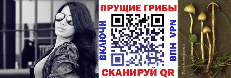 Псилоцибиновые грибы GOLDEN TEACHER  Карталы 