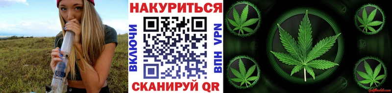 omg ссылки  Карталы  Бошки марихуана сатива 
